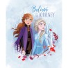 Panel Frozen Believe in the journey
