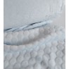 Coralina relieve celeste
