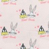 Tela Looney Tunes Best Buds