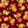 Patchwork americano -Pumpkin farm - Pumpkins - vino