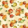 Patchwork americano -Pumpkin farm - Pumpkins crema