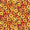 Patchwork americano -Pumpkin farm - Sunflowers - vino