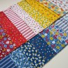 Pack de 18 retales telas americanas summer